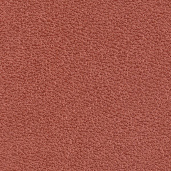 Alamo 2600 Mandarin