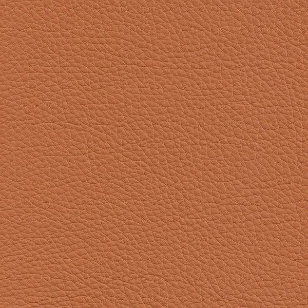 Basque 29 Cedar