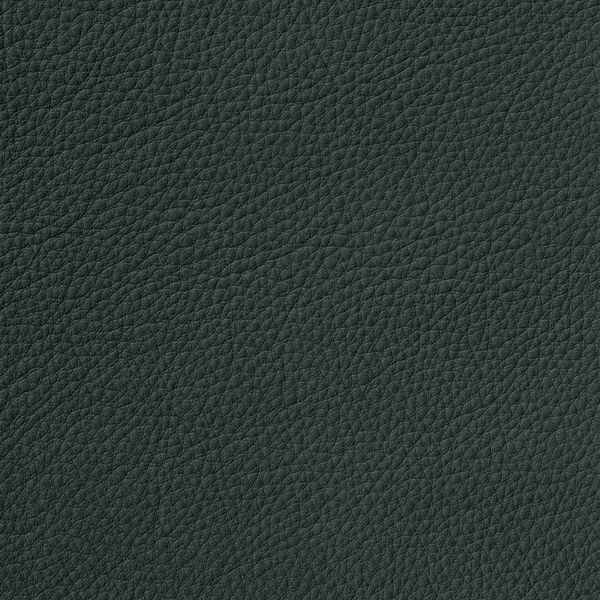Cera 5618 Rain