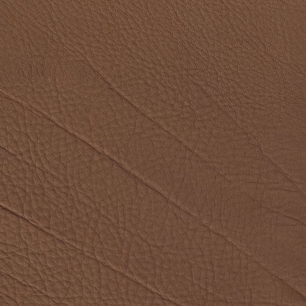 Cera 5630 Fudge