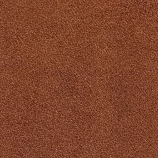 Cera 2850 Cognac