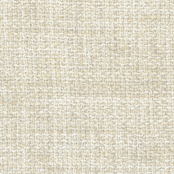 Alma 509 Papyrus