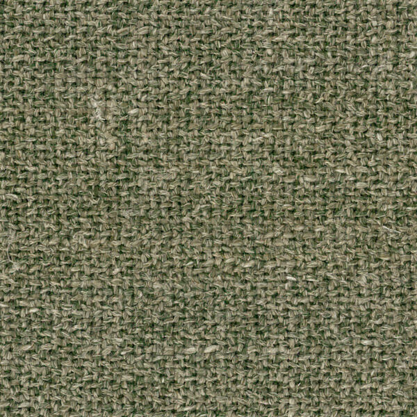 Alma 529 Thyme